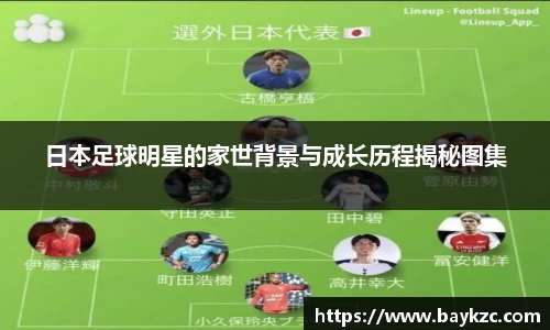 BB贝博登录入口